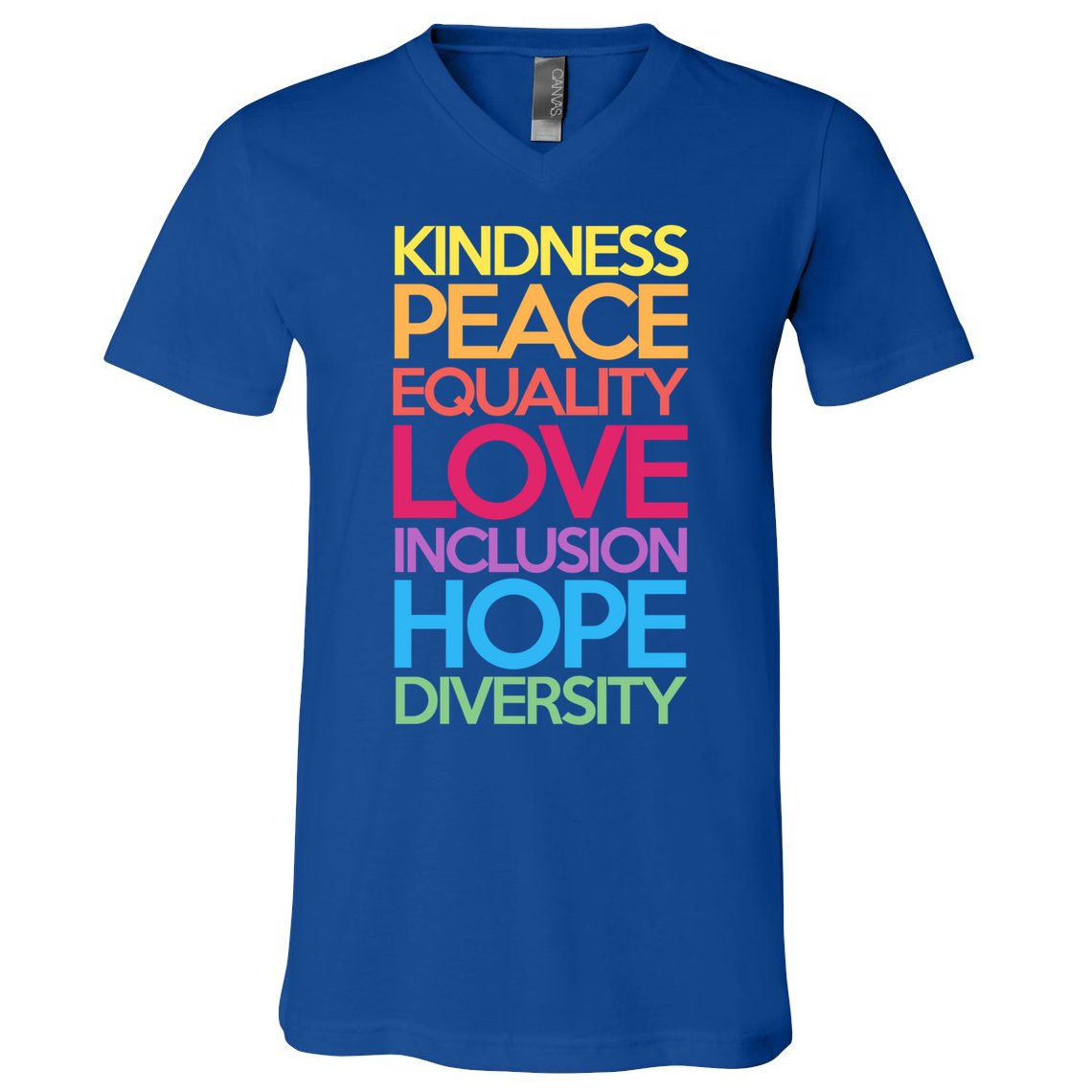Kindness Peace Equality Love Inclusion Hope Diversity Funny Gift V-Neck T-Shirt