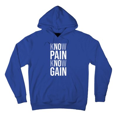 Know Pain Know Gain No Pain No Gain Gift Gym Hustle Success Meaningful Gift Hoodie