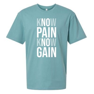 Know Pain Know Gain No Pain No Gain Gift Gym Hustle Success Meaningful Gift Sueded Cloud Jersey T-Shirt