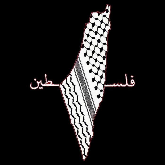 Keffiyeh Palestine Map Arabic Scarf Shemagh Palestinian Flag Cooling Performance Crew T-Shirt