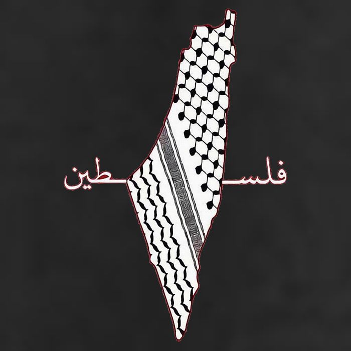Keffiyeh Palestine Map Arabic Scarf Shemagh Palestinian Flag 11oz C Handle Ceramic Mug