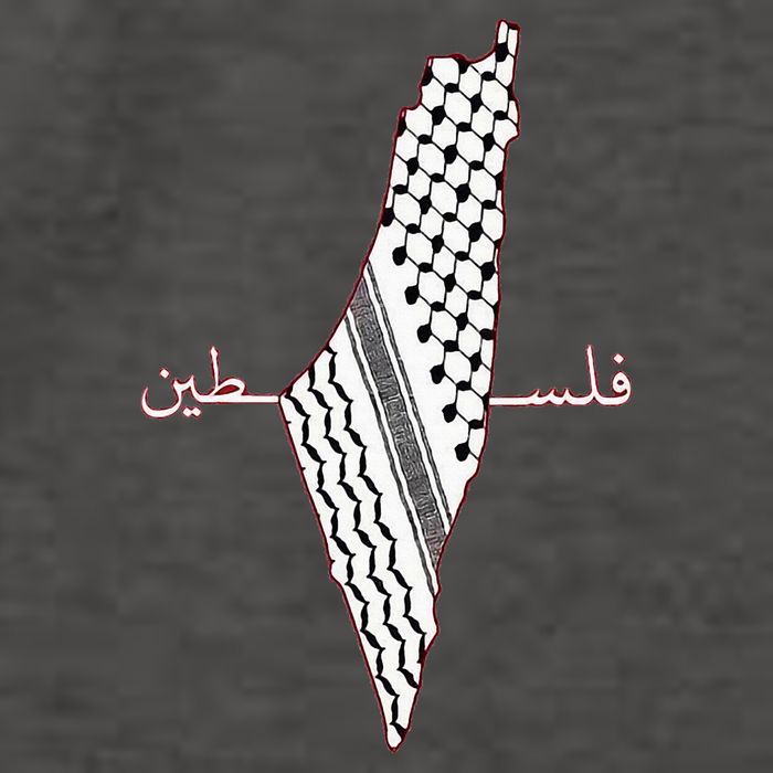 Keffiyeh Palestine Map Arabic Scarf Shemagh Palestinian Flag Vector Backpack