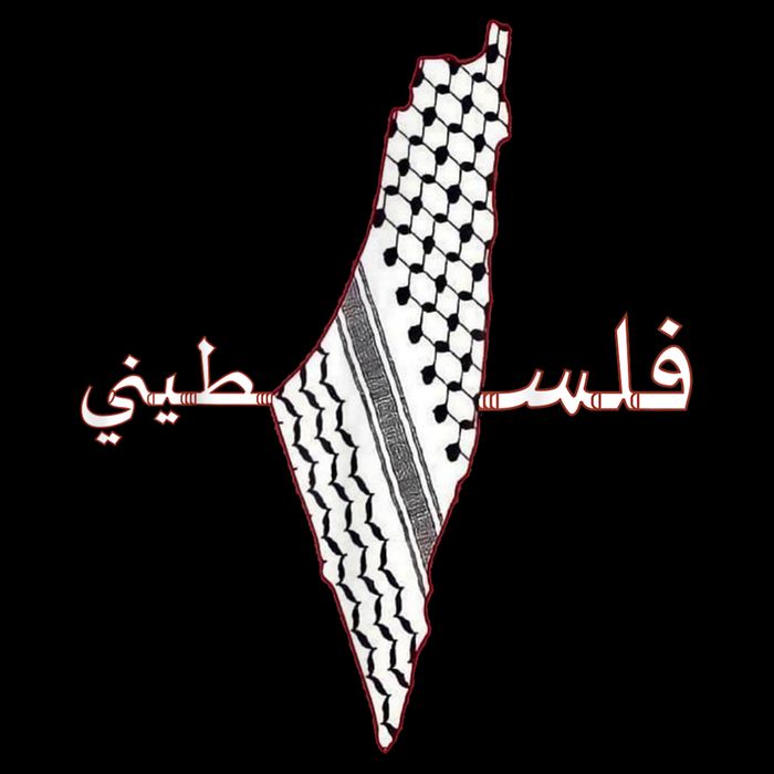 Keffiyeh Palestine Map Scarf Shemagh Palestinians Women's V-Neck T-Shirt