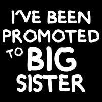 Promoted To Big Sister Cooling Performance Crew T-Shirt