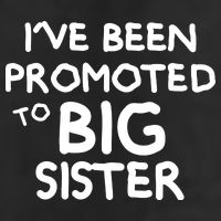 Promoted To Big Sister Adult Drive Performance Visor