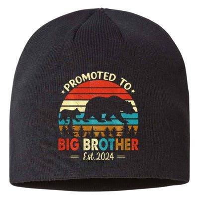 Kids Promoted To Big Brother Est 2024 Pregnancy Announcement Sustainable Beanie