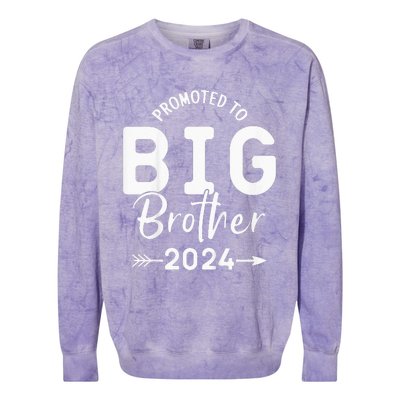 Kids Promoted To Big Brother 2024 Big Brother 2024 Colorblast Crewneck Sweatshirt