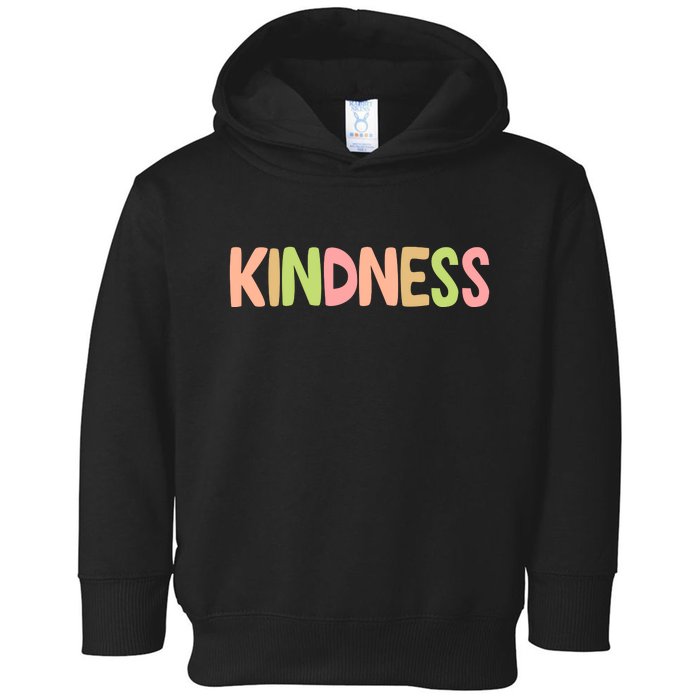 Kindness Quote Colorful Toddler Hoodie