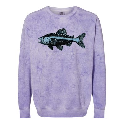 Kenai River Alaska King Salmon Fish Art Fishing Trip Colorblast Crewneck Sweatshirt