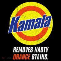 Kamala Removes Nasty Orange Stains Gift Baby Bodysuit