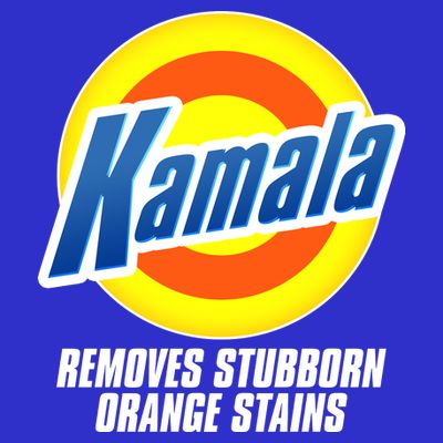 Kamala Removes Stubborn Orange Stains Vote Kamala Harris 2024 T-Shirt