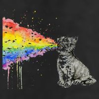 Kitten Rainbow Vomit Funny Rainbow Cat 7 Panel Mesh Trucker Snapback Hat