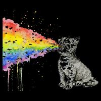Kitten Rainbow Vomit Funny Rainbow Cat Bucket Hat