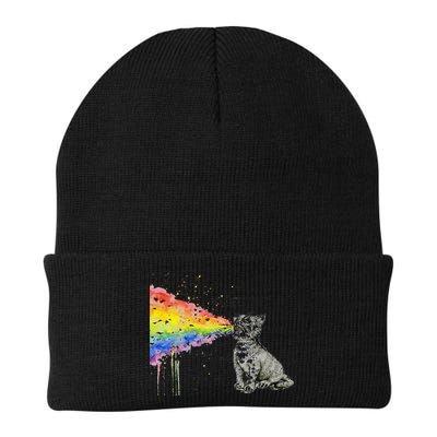 Kitten Rainbow Vomit Funny Rainbow Cat Beanie