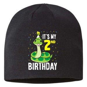 Kids Snakes Its My 2nd Birthday 2 Year Old Birthday Sustainable Beanie