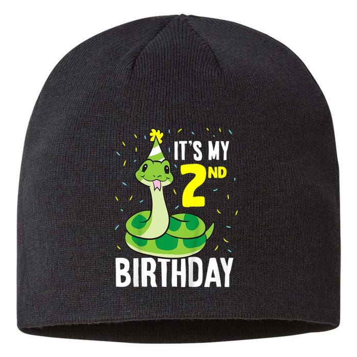 Kids Snakes Its My 2nd Birthday 2 Year Old Birthday Sustainable Beanie