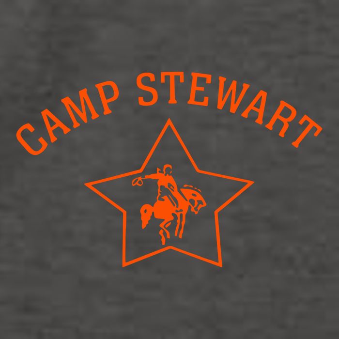 Kristen Stewart In A Camp Stewart Vector Backpack