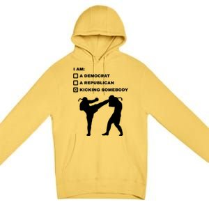 Kicking Somebody Muay Thai Kickboxing Mixed Martial Arts Great Gift Premium Pullover Hoodie