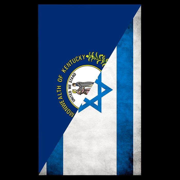 Kentucky Stands With Israeli Flag Kentucky Flag Wool Snapback Cap