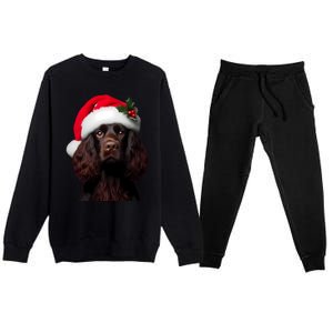 Kin Spaniel With Santa Hat Christmas Dog Owner Lover Mom Gift Premium Crewneck Sweatsuit Set