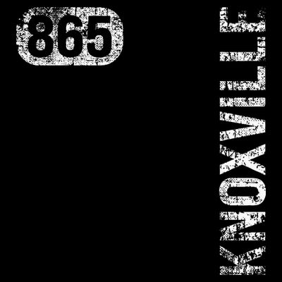 Knoxville Tennessee 865 Area Code Vintage Retro T-Shirt