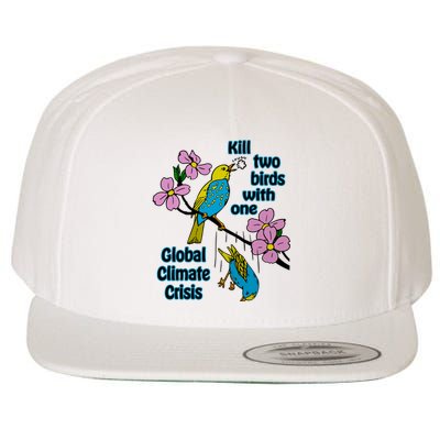 Kill Two Birds With One Global Climate Crisis Wool Snapback Cap