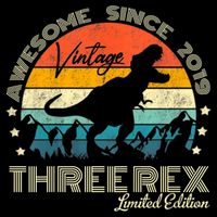 Kids Third Dinosaur 3 Year Old 2019 Three Rex 3rd Birthday Apron