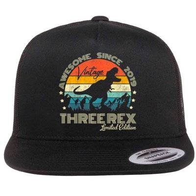 Kids Third Dinosaur 3 Year Old 2019 Three Rex 3rd Birthday Flatbill Hat