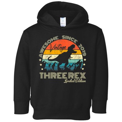 Kids Third Dinosaur 3 Year Old 2019 Three Rex 3rd Birthday Toddler Hoodie