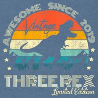 Kids Third Dinosaur 3 Year Old 2019 Three Rex 3rd Birthday Garment-Dyed Sweatshirt
