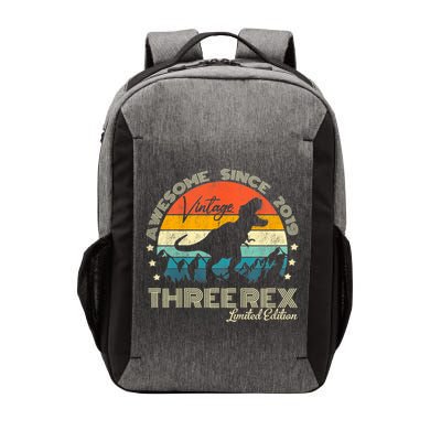 Kids Third Dinosaur 3 Year Old 2019 Three Rex 3rd Birthday Vector Backpack