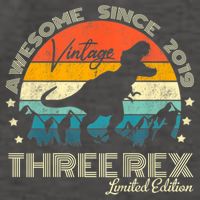 Kids Third Dinosaur 3 Year Old 2019 Three Rex 3rd Birthday Vector Backpack