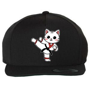 Karate Taekwondo Funny Cat Jiu Jitsu Women Girl Mma Wool Snapback Cap