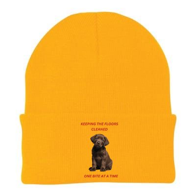 Keeping The Floors Clean One Bite At A Time. Lab Puppy. Knit Cap Winter Beanie