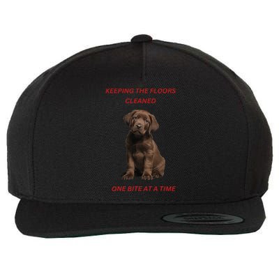 Keeping The Floors Clean One Bite At A Time. Lab Puppy. Wool Snapback Cap