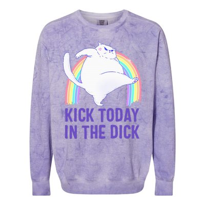 Kick Today In The Dick White Cat Pastel Rainbow Colorblast Crewneck Sweatshirt