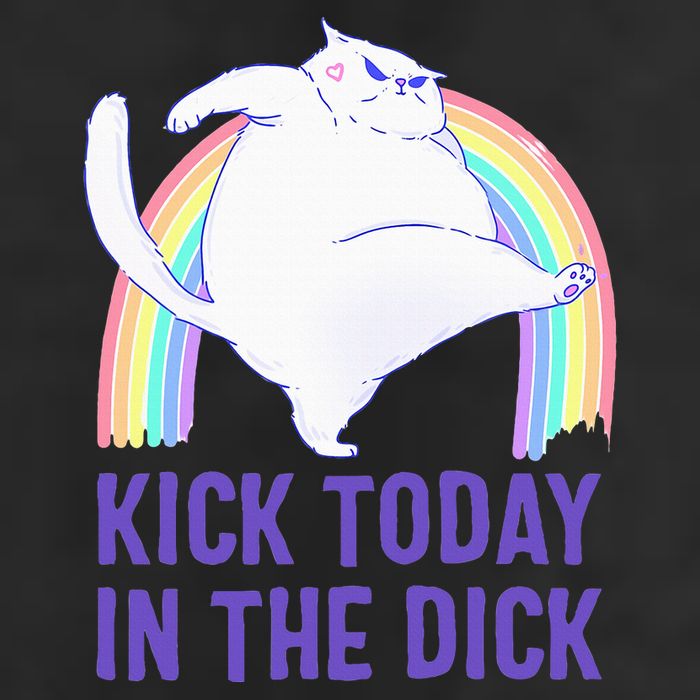 Kick Today In The Dick White Cat Pastel Rainbow 11oz C Handle Ceramic Mug