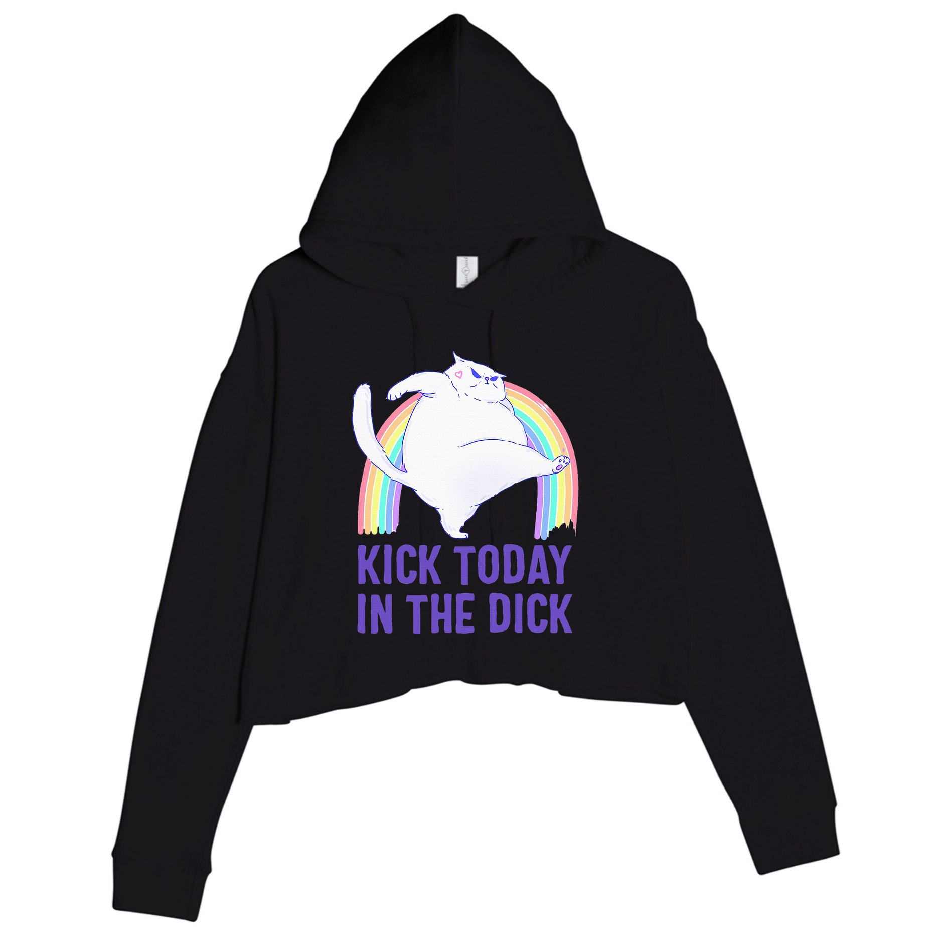 Kick Today In The Dick White Cat Pastel Rainbow Crop Fleece Hoodie