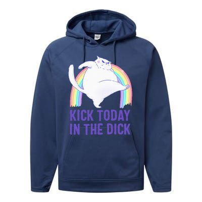 Kick Today In The Dick White Cat Pastel Rainbow Performance Fleece Hoodie