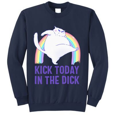Kick Today In The Dick White Cat Pastel Rainbow Sweatshirt