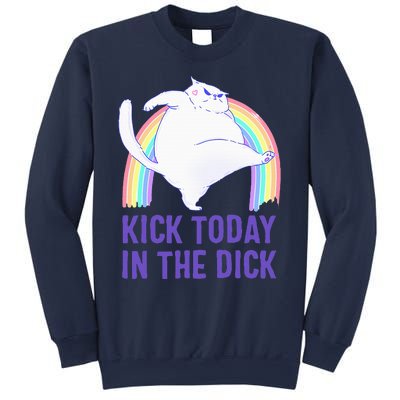 Kick Today In The Dick White Cat Pastel Rainbow Sweatshirt