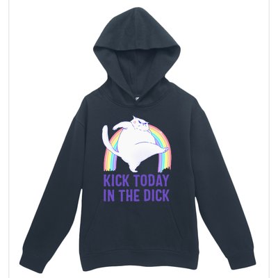 Kick Today In The Dick White Cat Pastel Rainbow Urban Pullover Hoodie