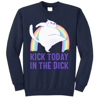 Kick Today In The Dick White Cat Pastel Rainbow Tall Sweatshirt