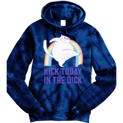 Kick Today In The Dick White Cat Pastel Rainbow Tie Dye Hoodie