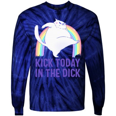 Kick Today In The Dick White Cat Pastel Rainbow Tie-Dye Long Sleeve Shirt