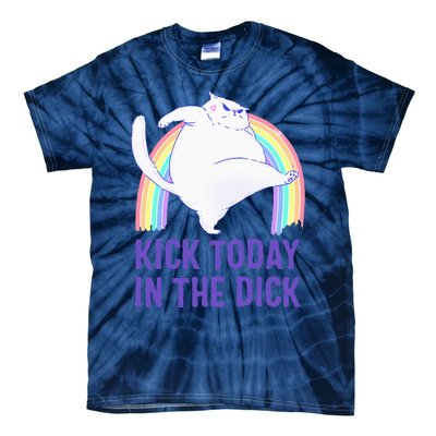 Kick Today In The Dick White Cat Pastel Rainbow Tie-Dye T-Shirt