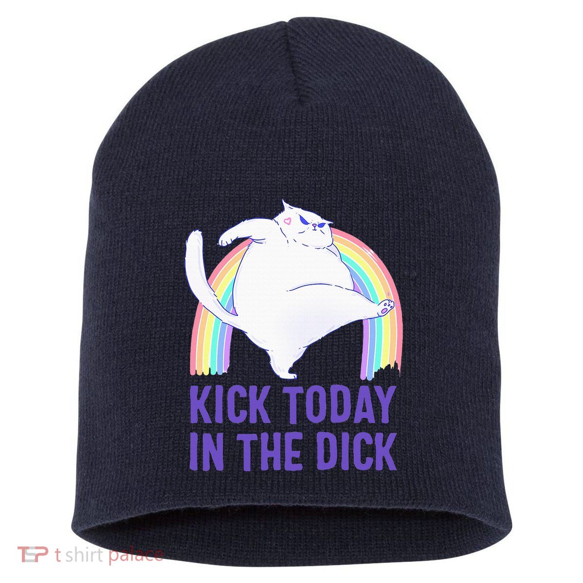 Kick Today In The Dick White Cat Pastel Rainbow Short Acrylic Beanie