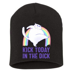 Kick Today In The Dick White Cat Pastel Rainbow Short Acrylic Beanie