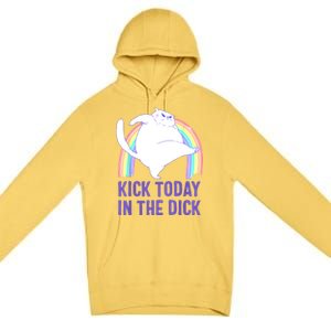 Kick Today In The Dick Premium Pullover Hoodie