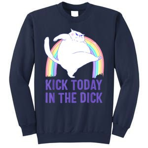 Kick Today In The Dick Sweatshirt